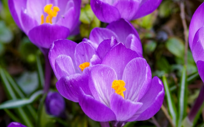 March News